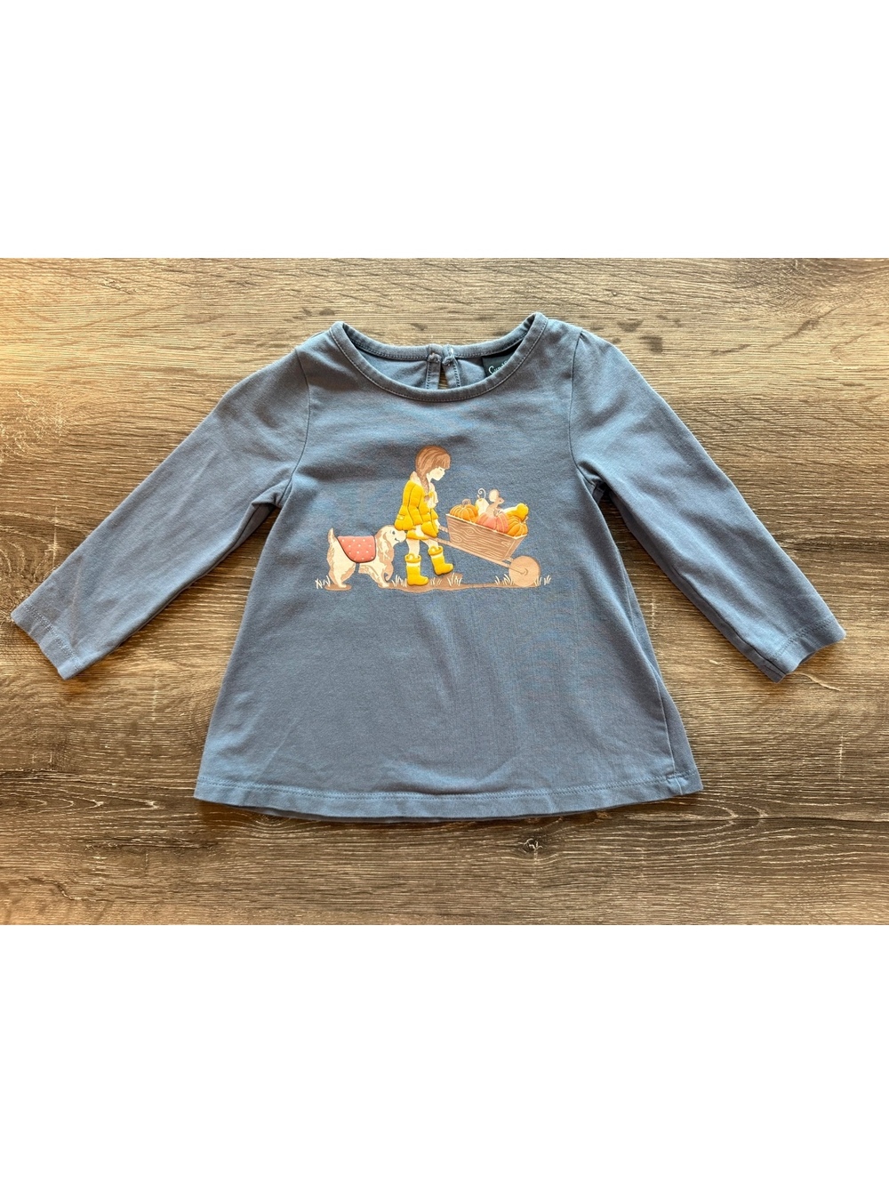 Cynthia Rowley Baby Girl 12M Blue Fall Graphic Tunic Top Pumpkin Dog Long Sleeve